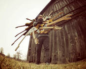 Pod_thumb_guitaaah_spin__2013dt_hi-qual