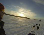 Pod_thumb_gopro_hero3_black_mushing