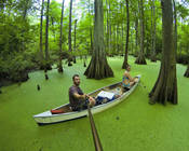 Pod_thumb_green_canoe-1