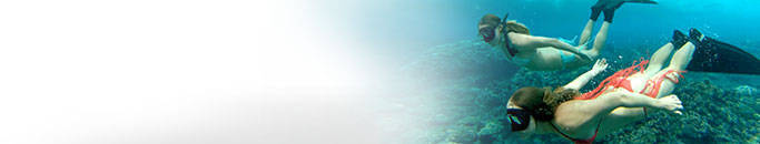 Premiumaccessories_header